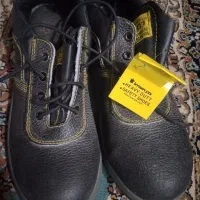 کفش ایمنی ۴۱