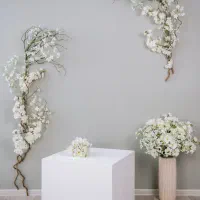 آگهی استخدامی شاگرد گچکاری