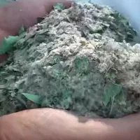 خریدار گزو هستم کیلویی 810.000 هزار