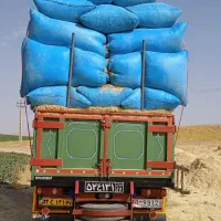 فروش کاه سفید|خدمات باغبانی و درختکاری|گلپایگان, |دیوار