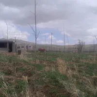 باغ|فروش دفتر صنعتی، کشاورزی، تجاری|تکاب, |دیوار