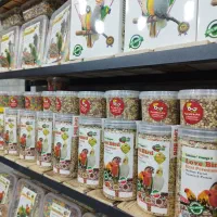 اوشکایا ، تاپ فید ، مخلوط عروس  و ارزن خوشه ای