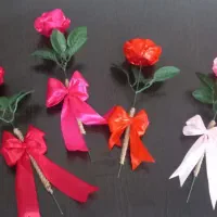 تک شاخه روز معلم