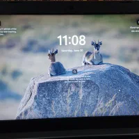 LENOVO 81DE