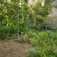 زمین بصورت کلی حدود۳۲۰متر یا قطعه ۱۴۰ متری|فروش زمین و ملک کلنگی|نیشابور, جمهوری|دیوار