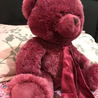 خرس ولنتاین|اسباب‌‌بازی|وحیدیه, |دیوار