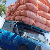 کاه و یونجه و بیده درجه یک