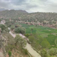 خانه اجاره ای در سیسخت پاتاوه|اجارهٔ کوتاه‌مدت آپارتمان و سوئیت|پاتاوه, |دیوار