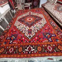 کناری زردی حاشیه