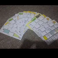 کبوتر مسابقات