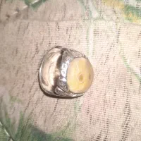 اهواز سراء خرمشهر