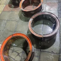 رینگ 24ترلکس