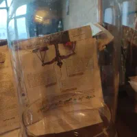 گلدان بنسای وتراریوم