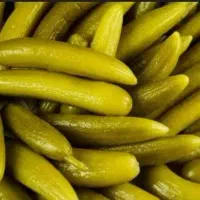 بزرگ ترین تولید کننده و تامین کننده عمده خیارشور