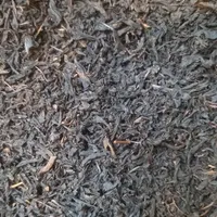چای بهاره درجه یک به شرط