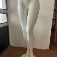 مانکن گل چهره در حد نو