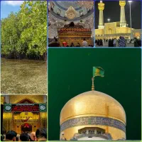 کاروان مشهد قسطی