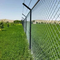 انواع مش فلزی پرسی رابیتس مفتول آرماتوربندی فنس|عمده‌فروشی|شیراز, شهرک صنعتی شیراز|دیوار