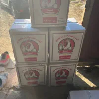 فروش تخم بوقلمون برنز نطفه دار|حیوانات مزرعه|کرج, گلشهر|دیوار