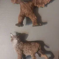 فیگور حیوانات کالکتا