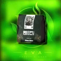 واردات و پخش دانه سبز