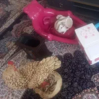 وسایل|ظروف سرو و پذیرایی|ایوان, |دیوار