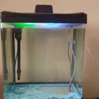 اکواریوم شرکتی ماهیران