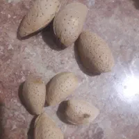 محصولات خانگی