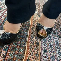 کفش مجلسی|کیف، کفش، کمربند|اردبیل, |دیوار