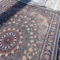 پادری|پادری|مشهد, شترک|دیوار