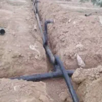 یک هکتار باغ پسته روستای معتمدیه