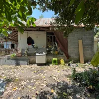 ۵۵۰متر سند تک برگ ۲ دقیقه شهر/رشت به کوچصفهان سنگر