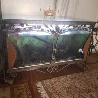 آکواریوم|ماهی|مشهد, خرمشهر|دیوار