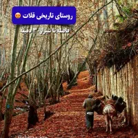 زمین بافت قلات