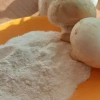 چاشنی قارچ و خامه