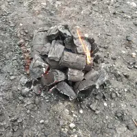 ذغال خود سوز