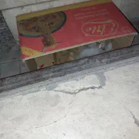 بچه گربه بیمار