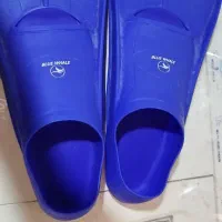 پافین شنا