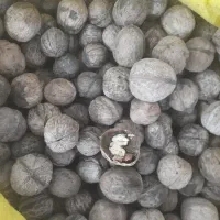 گردو محلی مغز سفید با تخفیف ویژه