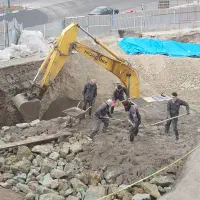 مدیر تدارکات، خرید آماده استخدام