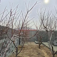 باغچه-دارای-نگهبانی-سند-دار