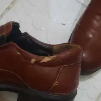 کفش مردانه و زنانه|کیف، کفش، کمربند|کرج, شهرک البرز ۳|دیوار