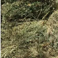 60باغ یونجه به فروش می‌رسد.