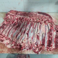 توزیع و پخش گوشت گرم گوساله نر|عمدهفروشی|شیراز, احمدآباد|دیوار