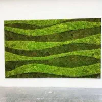 طراحی و اجرای ماس وال دیوار خزه‌ای|گل و گیاه طبیعی|کرج, حصارک بالا|دیوار