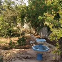 باغچه نقلی چهاردیواری فاصله تا تهران ۲۰ دقیقه|فروش خانه و ویلا|خاوران, |دیوار