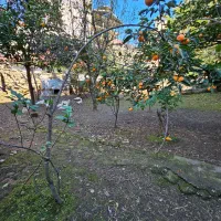 فروش زمین های شهری/ با تراکم بالا/ مناسب سازندگان