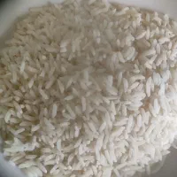 برنج طارم هاشمی درجه یک برای زمین کشاورزی خودم