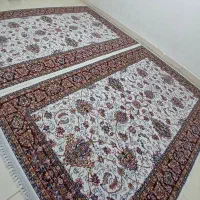 فرش ۶ متری در حد نو|فرش|بندرعباس, |دیوار