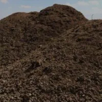 فروش کود حیوانی درجه یک|خدمات باغبانی و درختکاری|ساوه, |دیوار